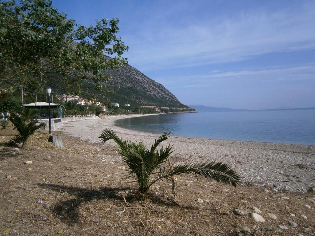 Petros Studios Poros  Luaran gambar